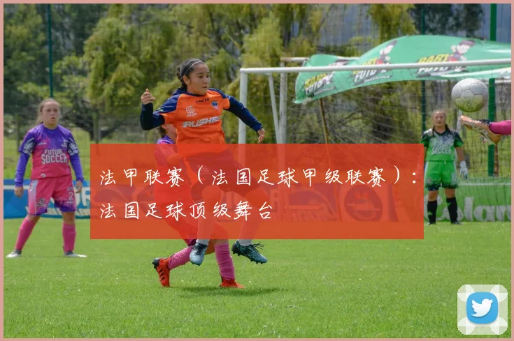 法甲联赛（法国足球甲级联赛）：法国足球顶级舞台