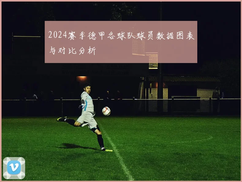 2024赛季德甲各球队球员数据图表与对比分析